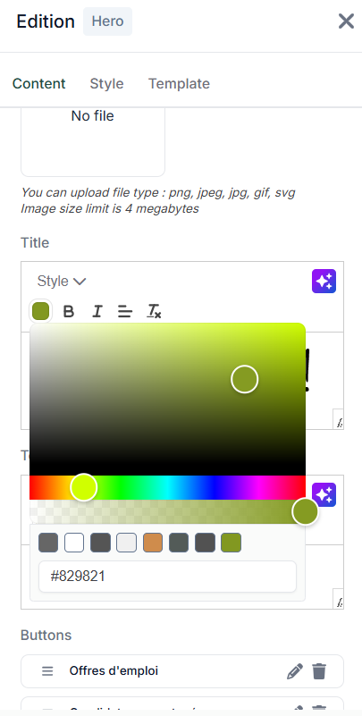 Capture d'écran des blocs de modification du CMS affichant les couleurs configurées