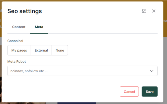 Screenshot der erweiterten Meta-Einstellungen